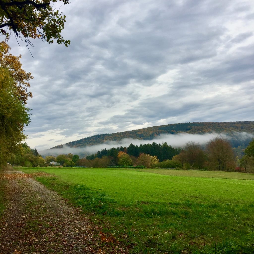 landschaft_im_nebel