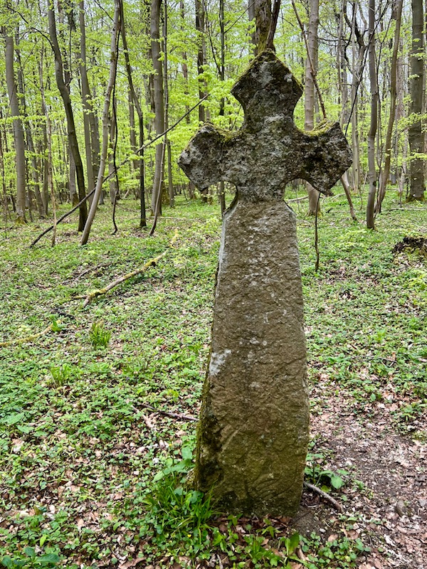 13_Boggerwandertag_Betteleichenweg