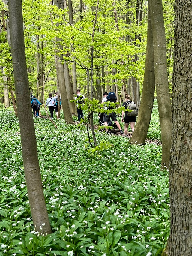 19_Boggerwandertag_Betteleichenweg