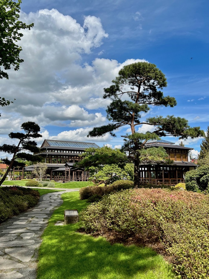 20_bad langensalza_japanischer garten