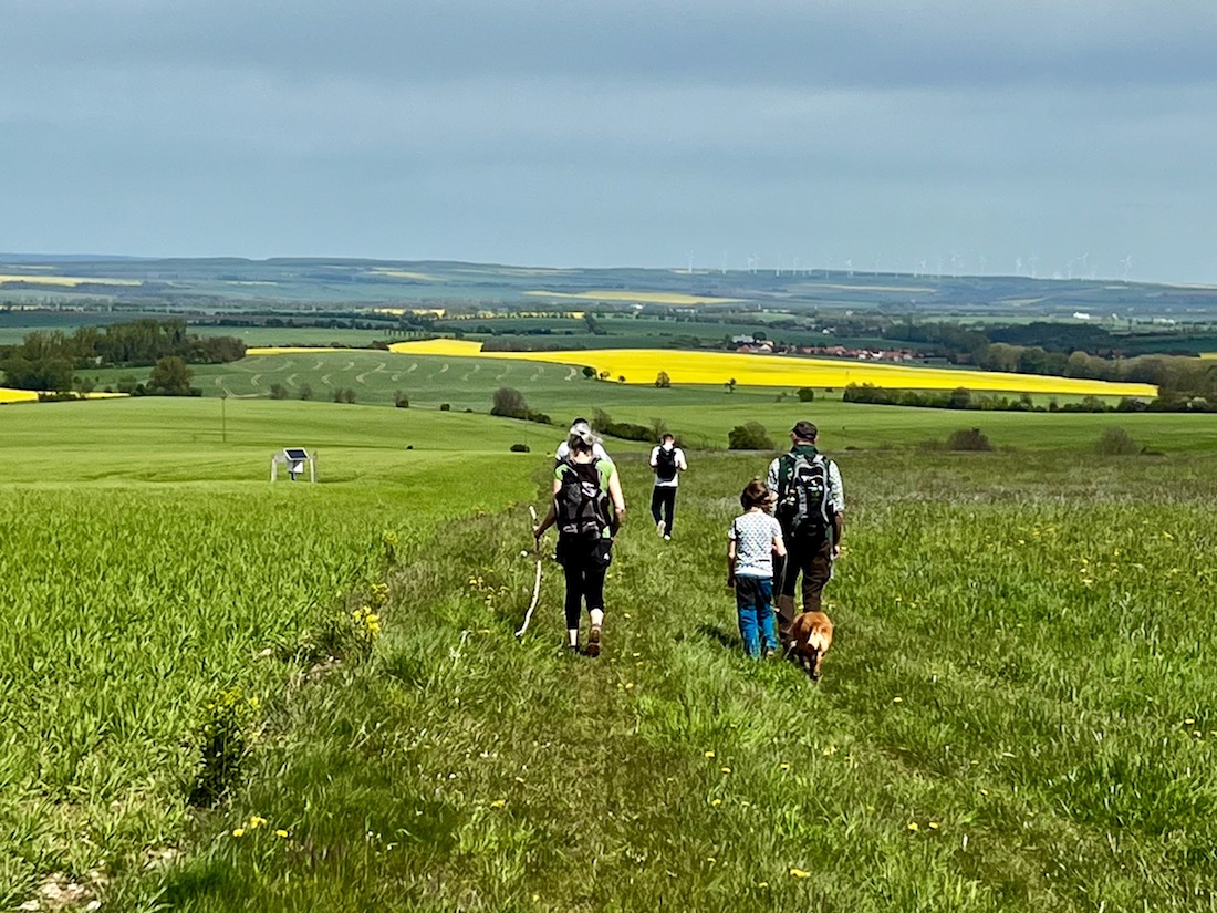 21_Boggerwandertag_Betteleichenweg